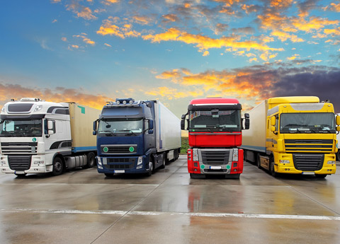 Crew Transfer & Tugboats